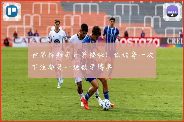 世界杯赔率计算揭秘：你的每一次下注都是一场数学博弈